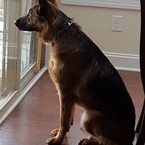 Meet your Posher, Maha